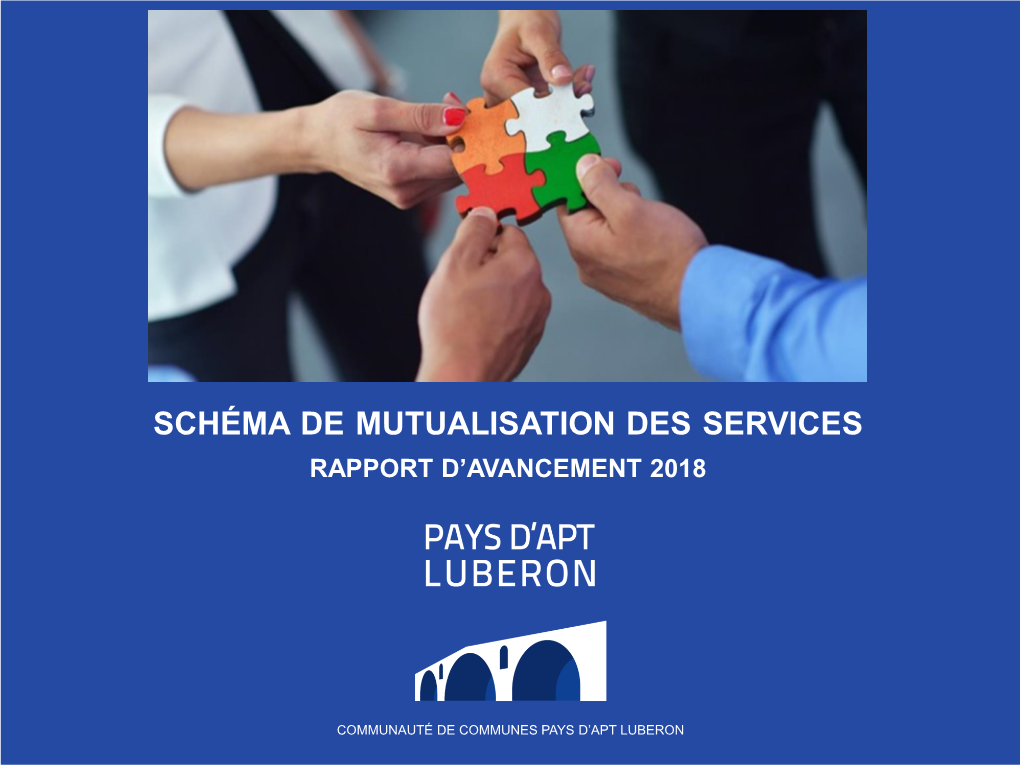 Rapport D'avancement 2018 Du Schéma De Mutualisation