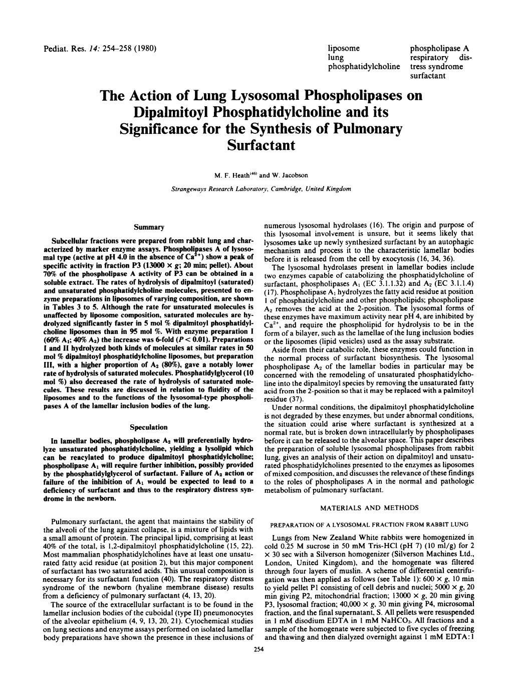 The Action of Lung Lysosomal Phospholipases on Dipalmitoyl Phosphatidylcholine and Its Significance for the Synthesis of Pulmonary Surfactant