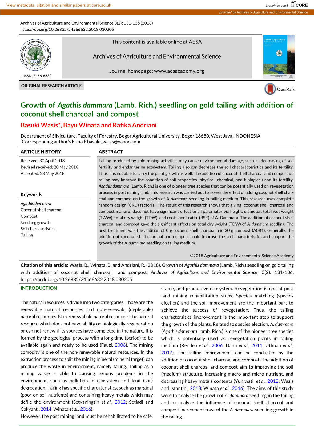 Growth of Agathis Dammara (Lamb