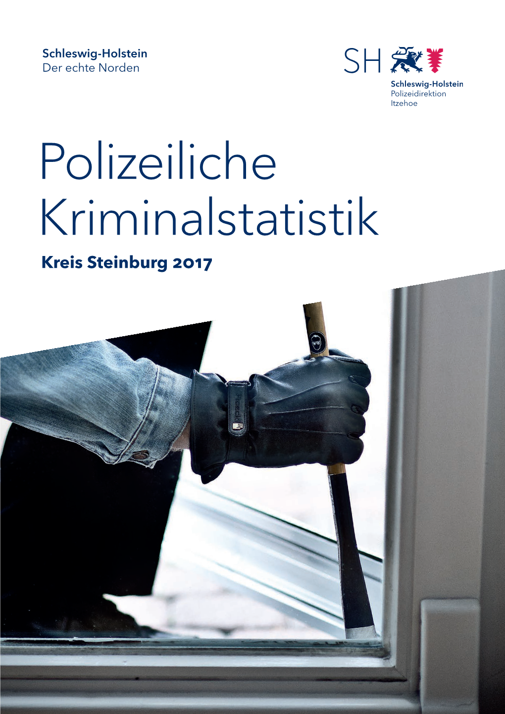 Kreis Steinburg 2017