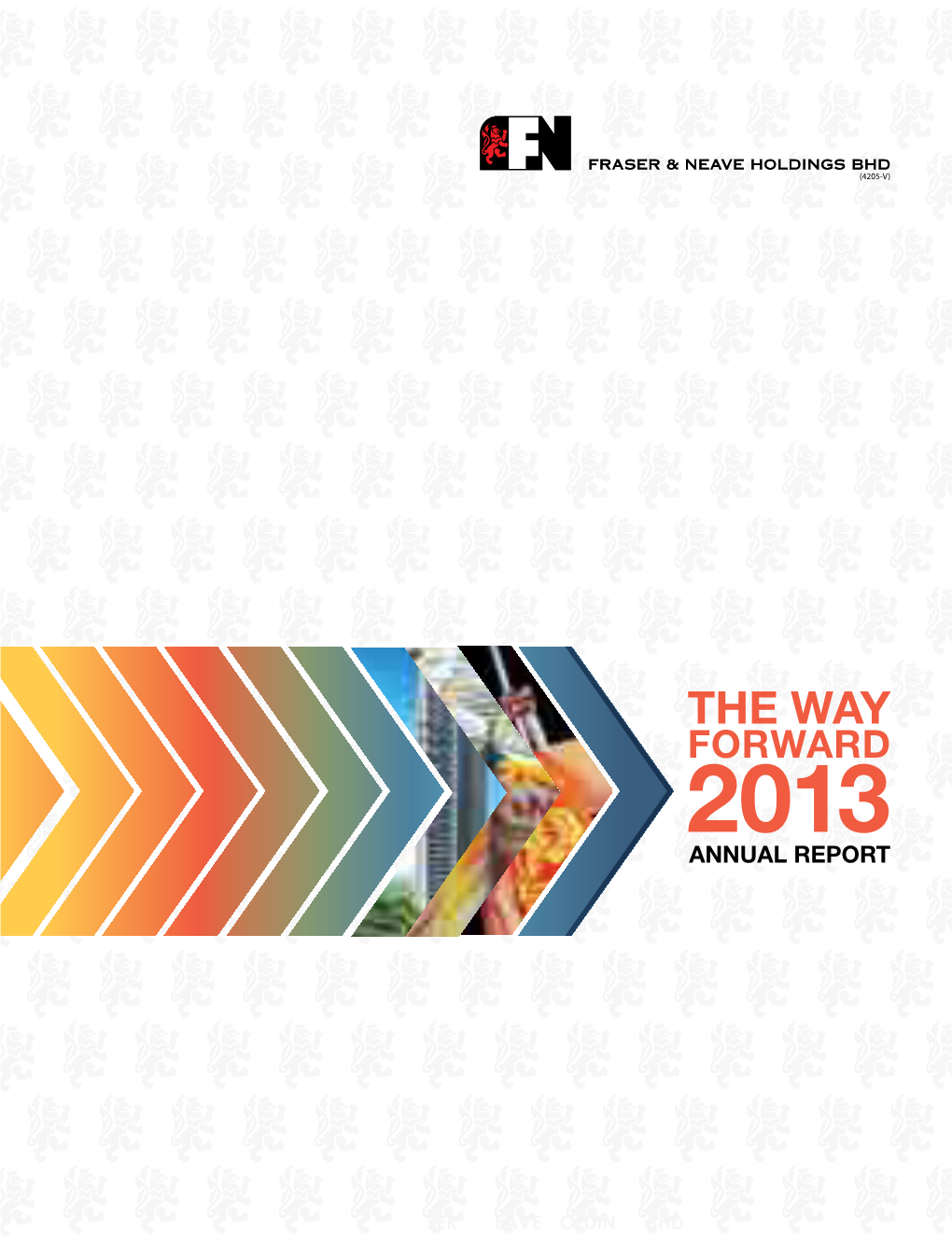 THE WAY FORWARD 2013 Annual Report Cover Flap