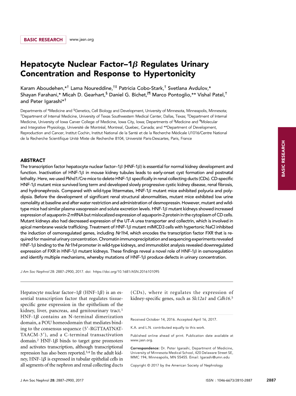 Hepatocyte Nuclear Factor–1B Regulates Urinary Concentration and Response to Hypertonicity