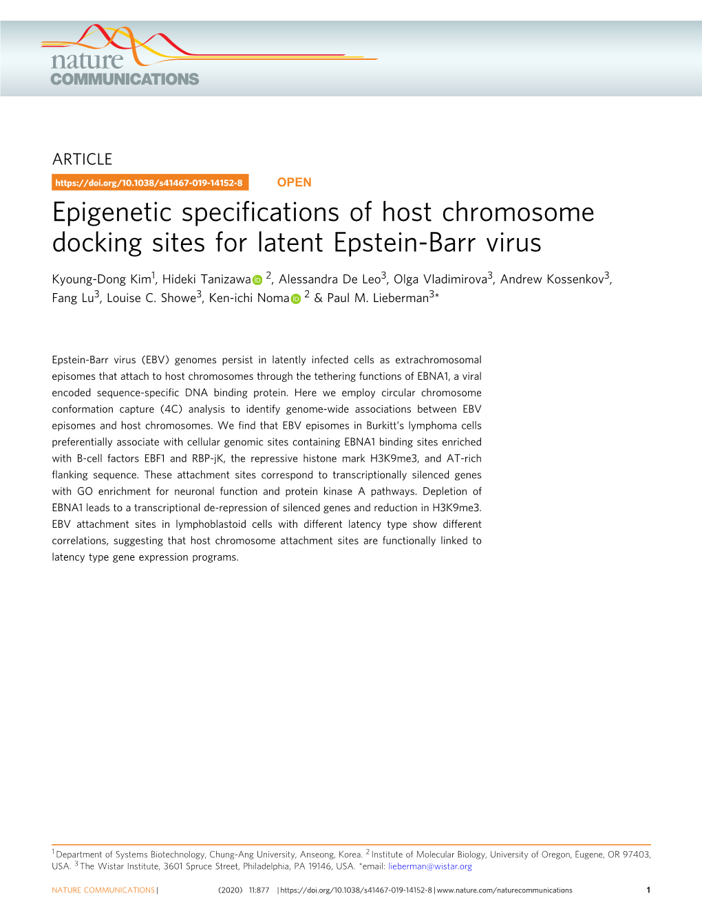 Epigenetic Specifications of Host Chromosome Docking Sites for Latent