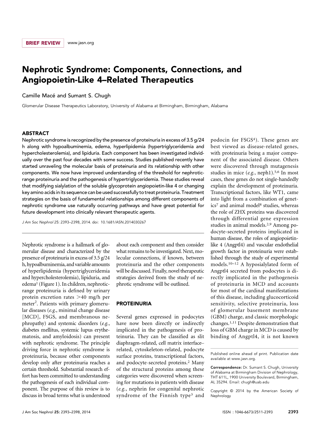 Nephrotic Syndrome: Components, Connections, and Angiopoietin-Like 4–Related Therapeutics