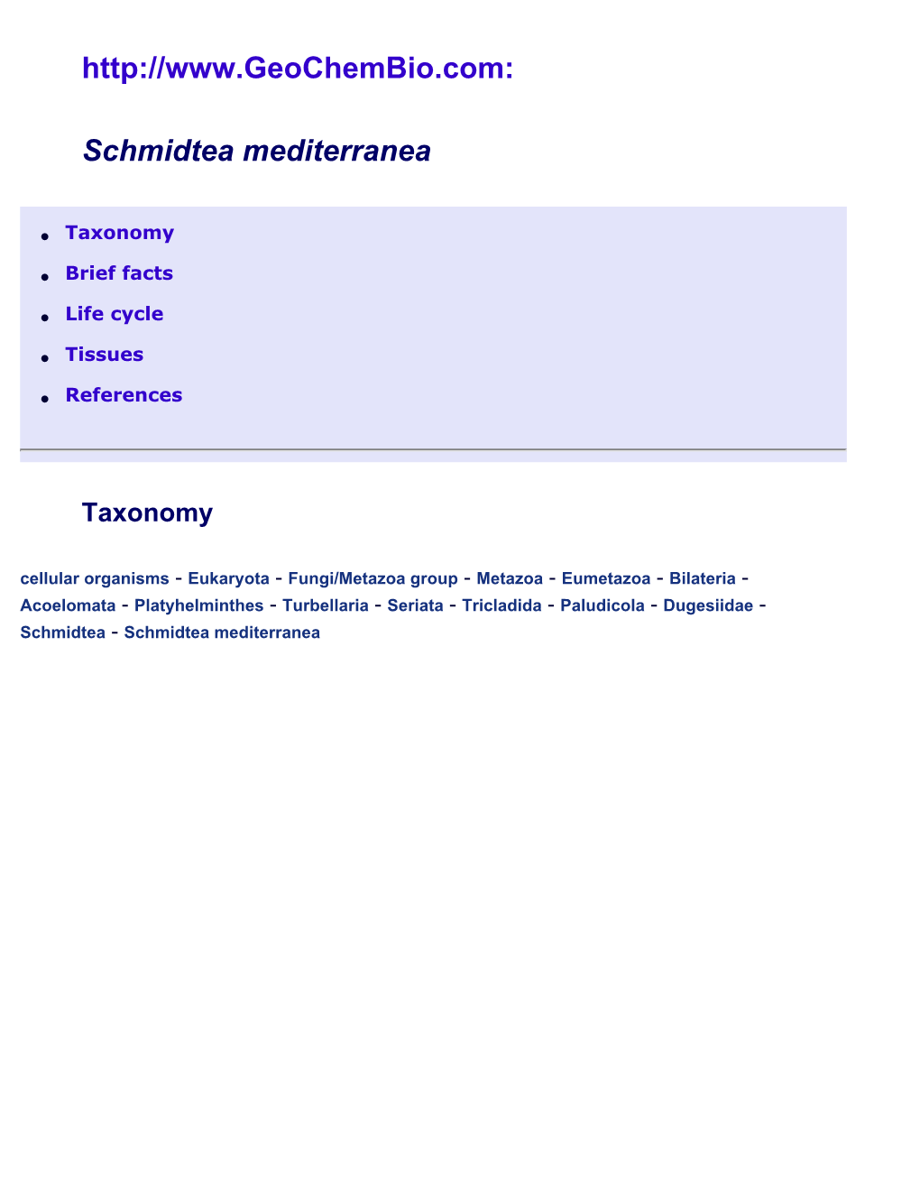 Schmidtea Mediterranea, Model Planarian