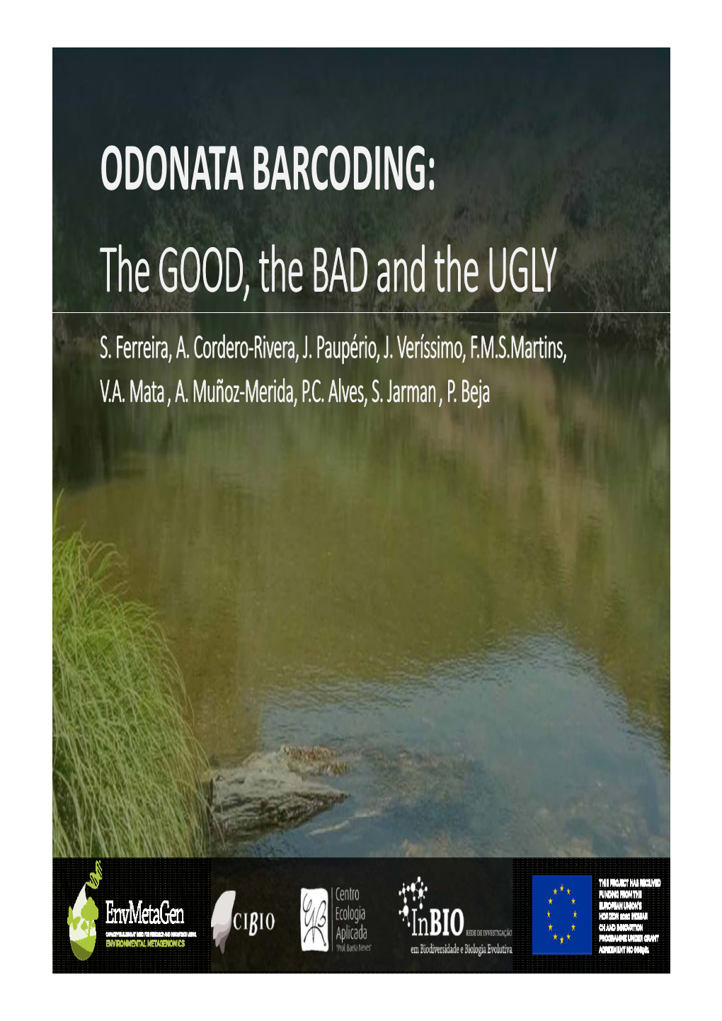 ODONATA BARCODING: the GOOD, the BAD and the UGLY S