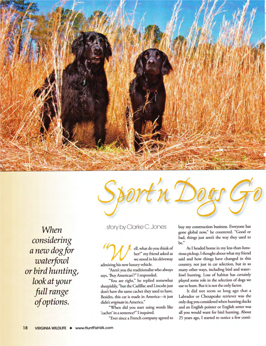 Sport'n Dogs Go Global