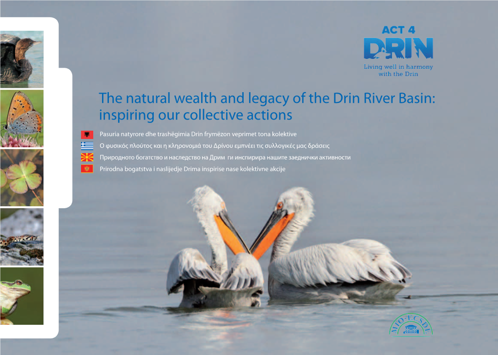 The Natural Wealth and Legacy of the Drin River Basin: Inspiring Our Collective Actions