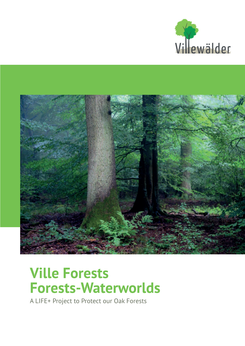 Ville Forests Forests-Waterworlds