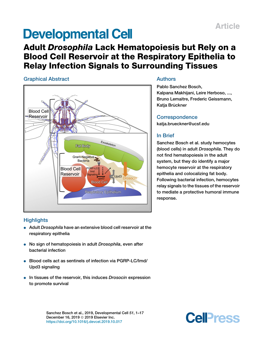 Adult Drosophila Lack Hematopoiesis but Rely on a Blood Cell Reservoir at the Respiratory Epithelia to Relay Infection Signals to Surrounding Tissues