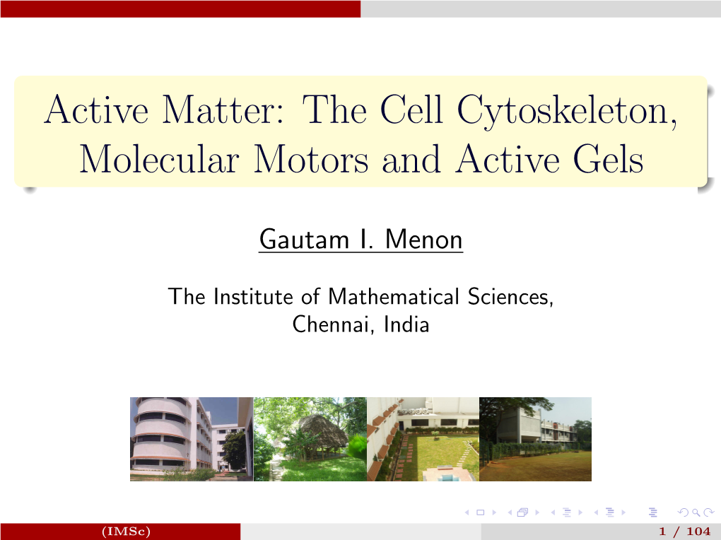 Active Matter: the Cell Cytoskeleton, Molecular Motors and Active Gels