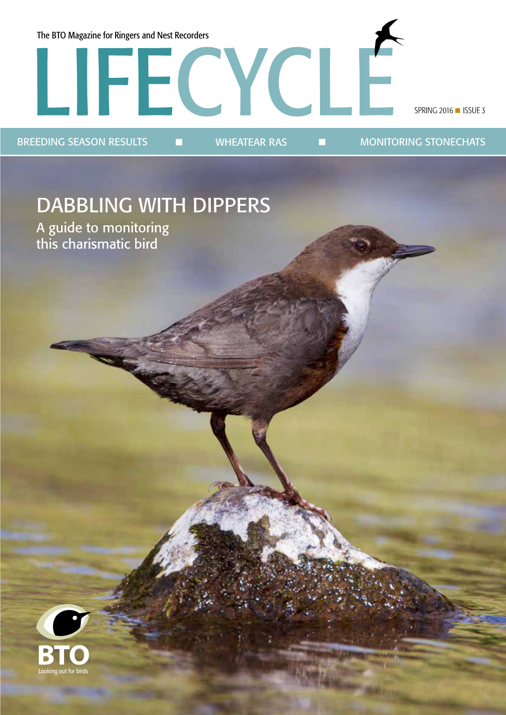 DABBLING with DIPPERS a Guide to Monitoring This Charismatic Bird EDITORIAL | Editorial and Contents