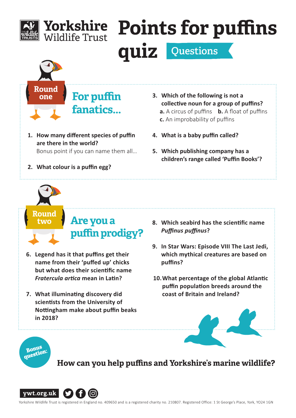Points for Puffins Quiz Questions