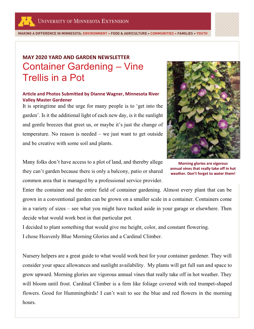 Container Gardening – Vine Trellis in a Pot