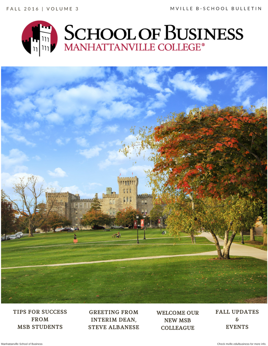 Manhattanvilleschool of Business