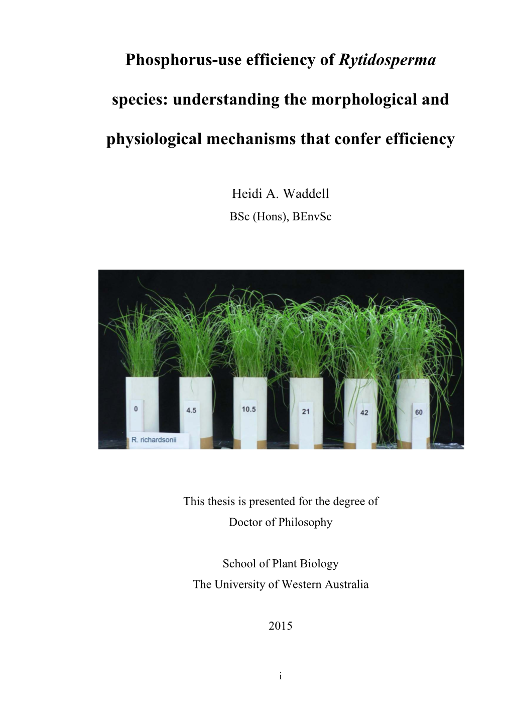 Phosphorus-Use Efficiency of Rytidosperma Species