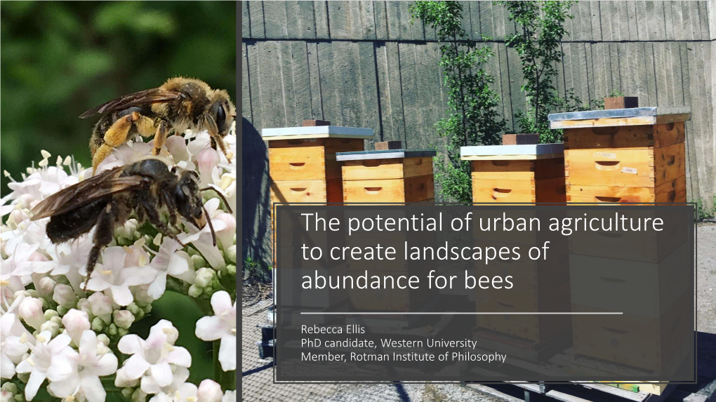 The Potential of Urban Agriculture to Create Landscapes of Abundance for Bees