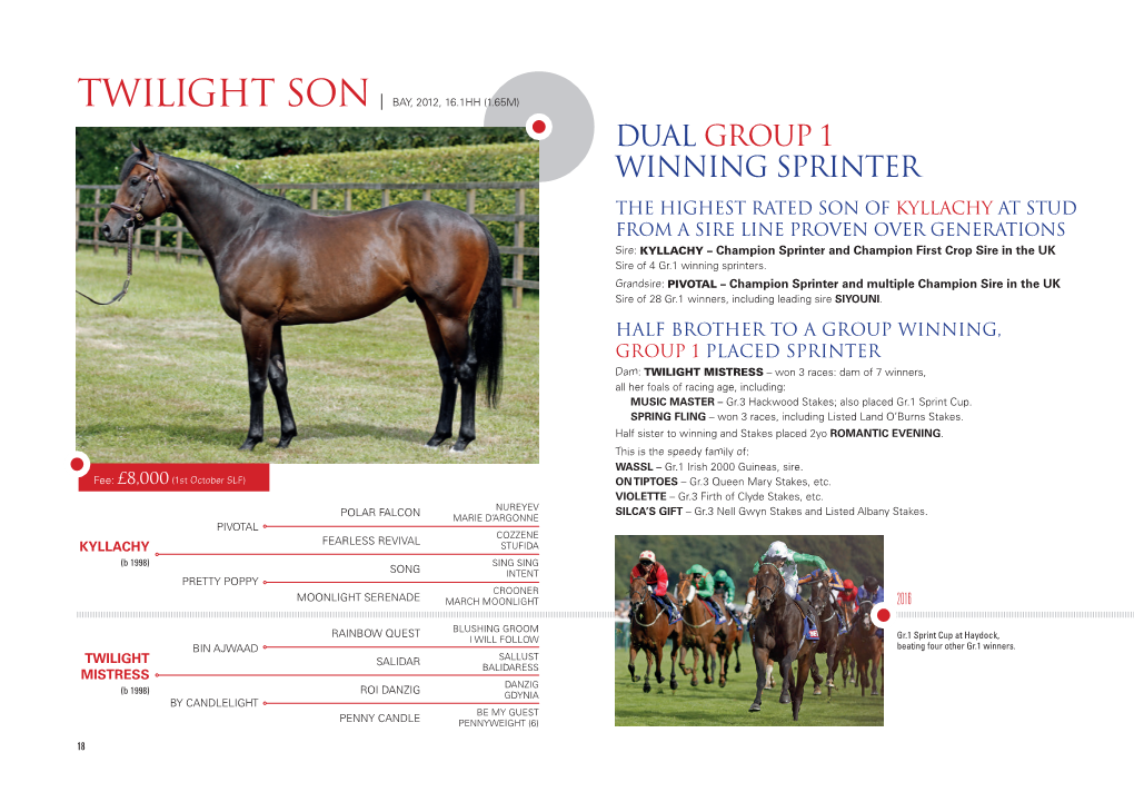 Dual Group 1 Winning Sprinter