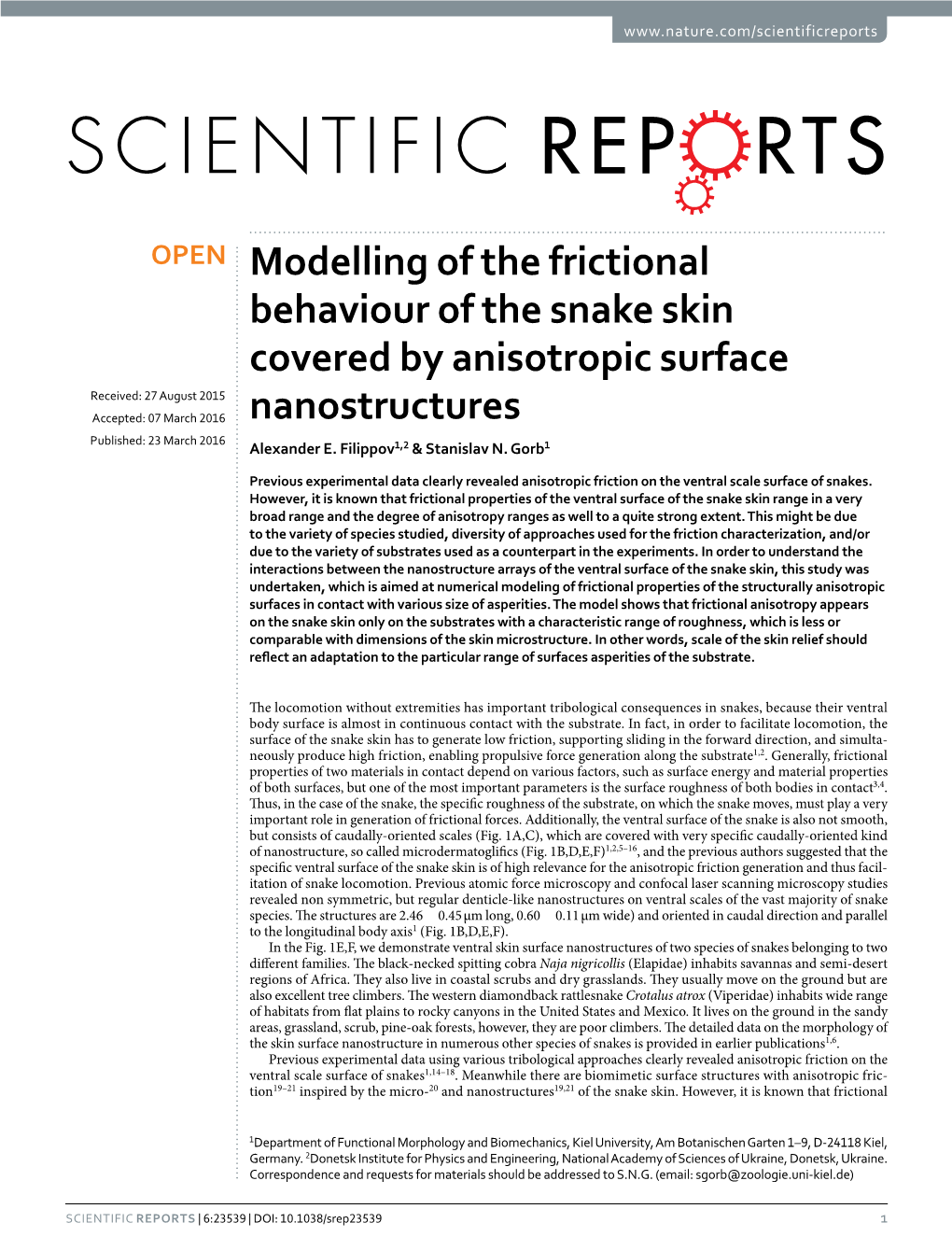 Modelling of the Frictional Behaviour of the Snake Skin Covered By