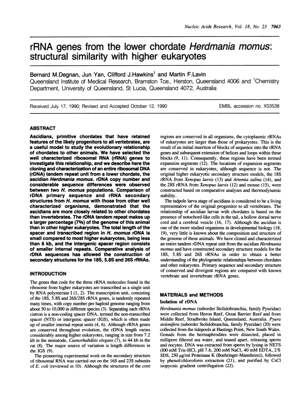 Rrna Genes from the Lower Chordate Herdmania Momus: Structural Similarity with Higher Eukaryotes