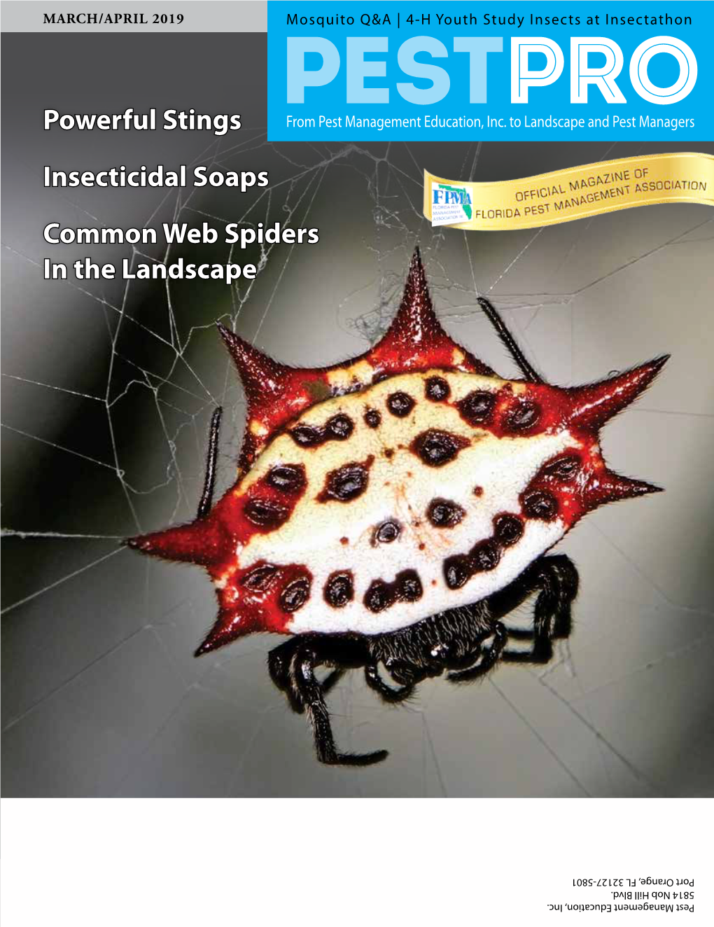 Powerful Stings Insecticidal Soaps Common Web Spiders in The