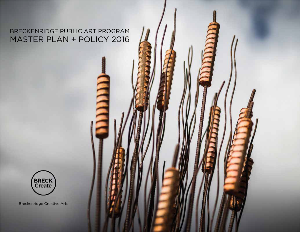 Breckenridge Public Art Program Master Plan + Policy 2016