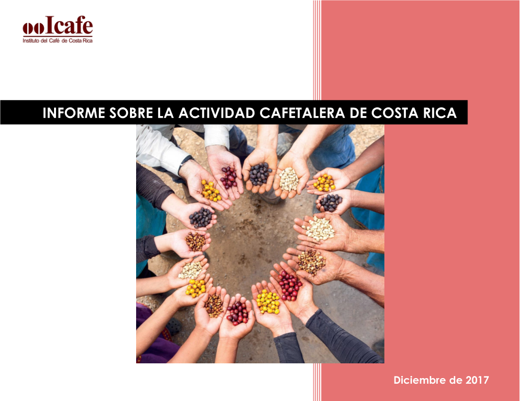 Informe Sobre La Actividad Cafetalera De Costa Rica
