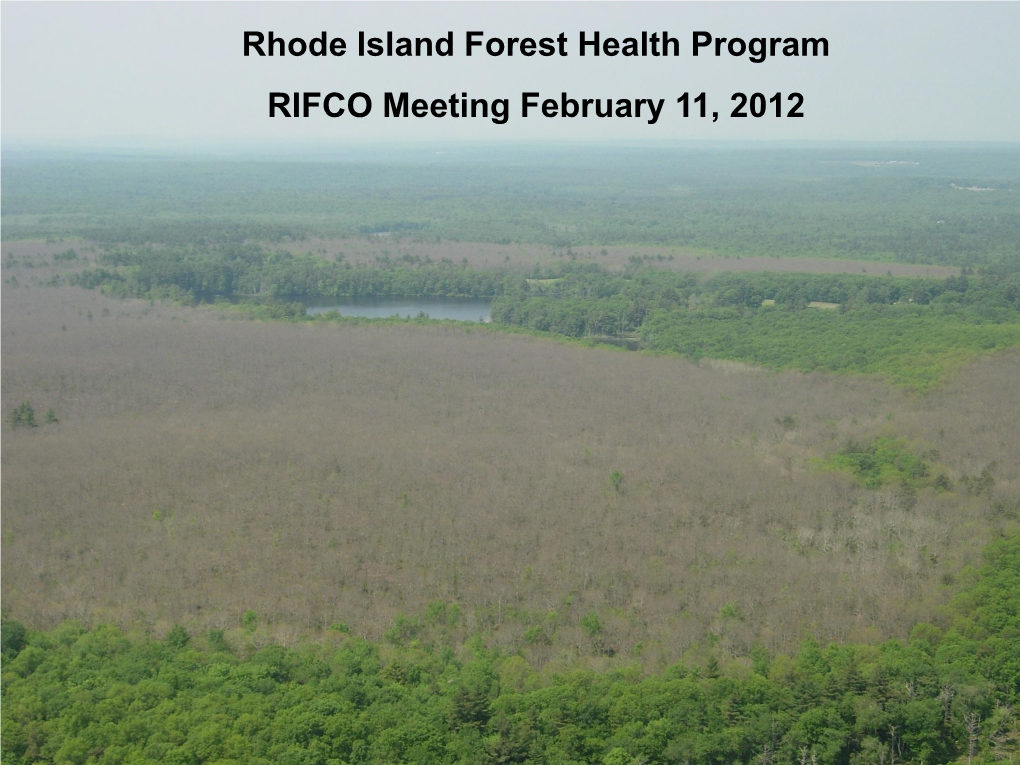 Rhode Island Forest Health Program RIFCO Meeting February 11, 2012 What Are the Key Issues Affecting the Forest Resources of Rhode Island