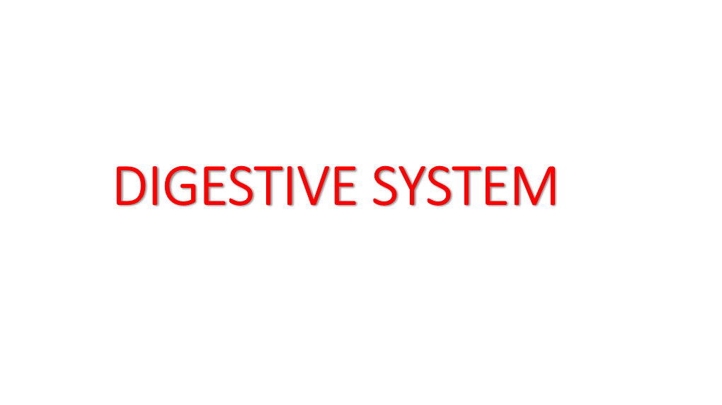 Digestive System Digestive System