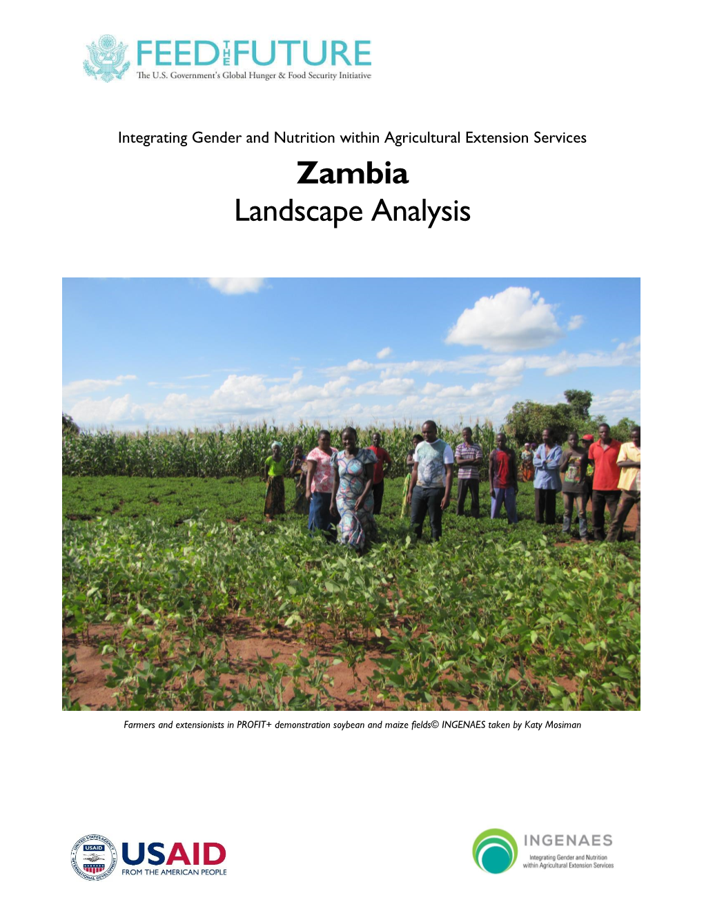 Zambia Landscape Analysis