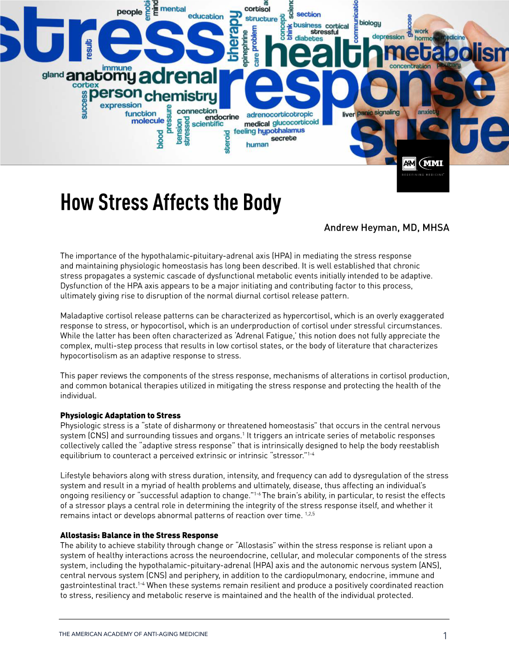 How Stress Affects the Body