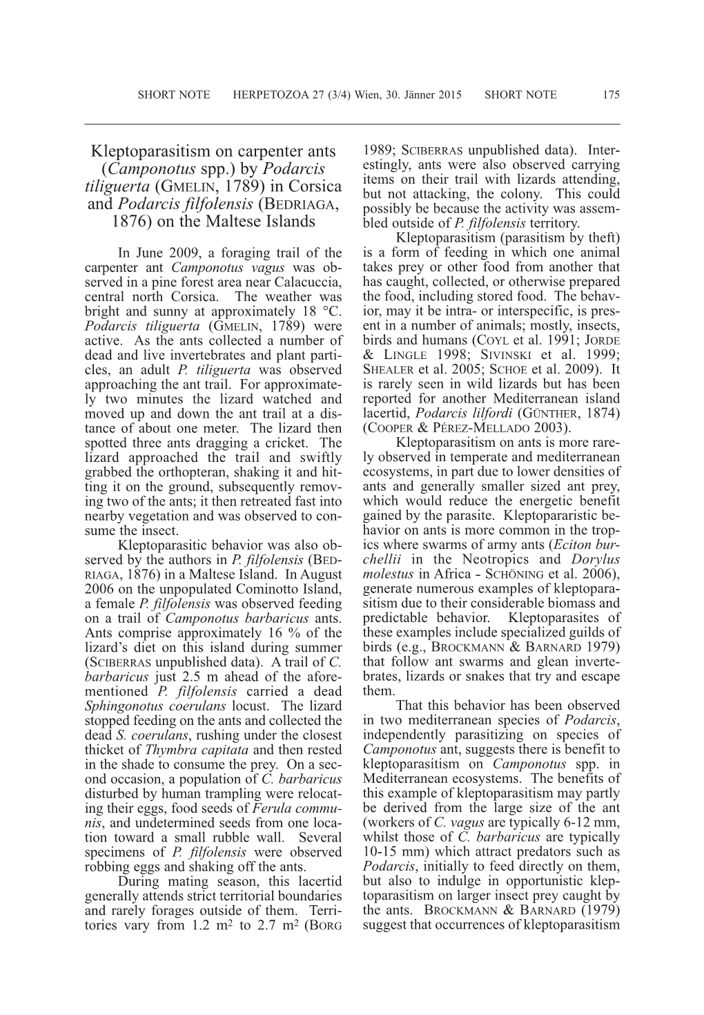 Kleptoparasitism on Carpenter Ants 1989; S Ciberras Unpublished Data)