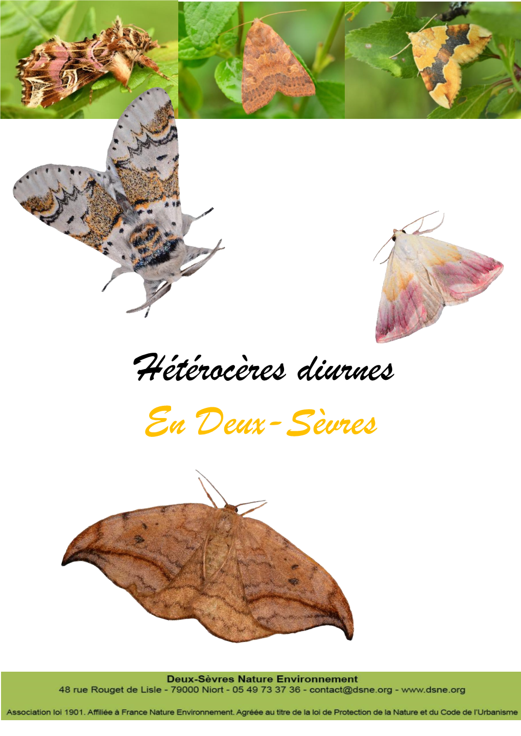 Hétérocères Diurnes En Deux-Sèvres