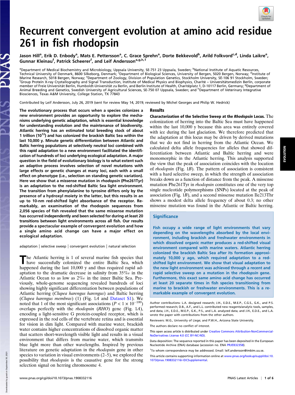 Recurrent Convergent Evolution at Amino Acid Residue 261 in Fish Rhodopsin