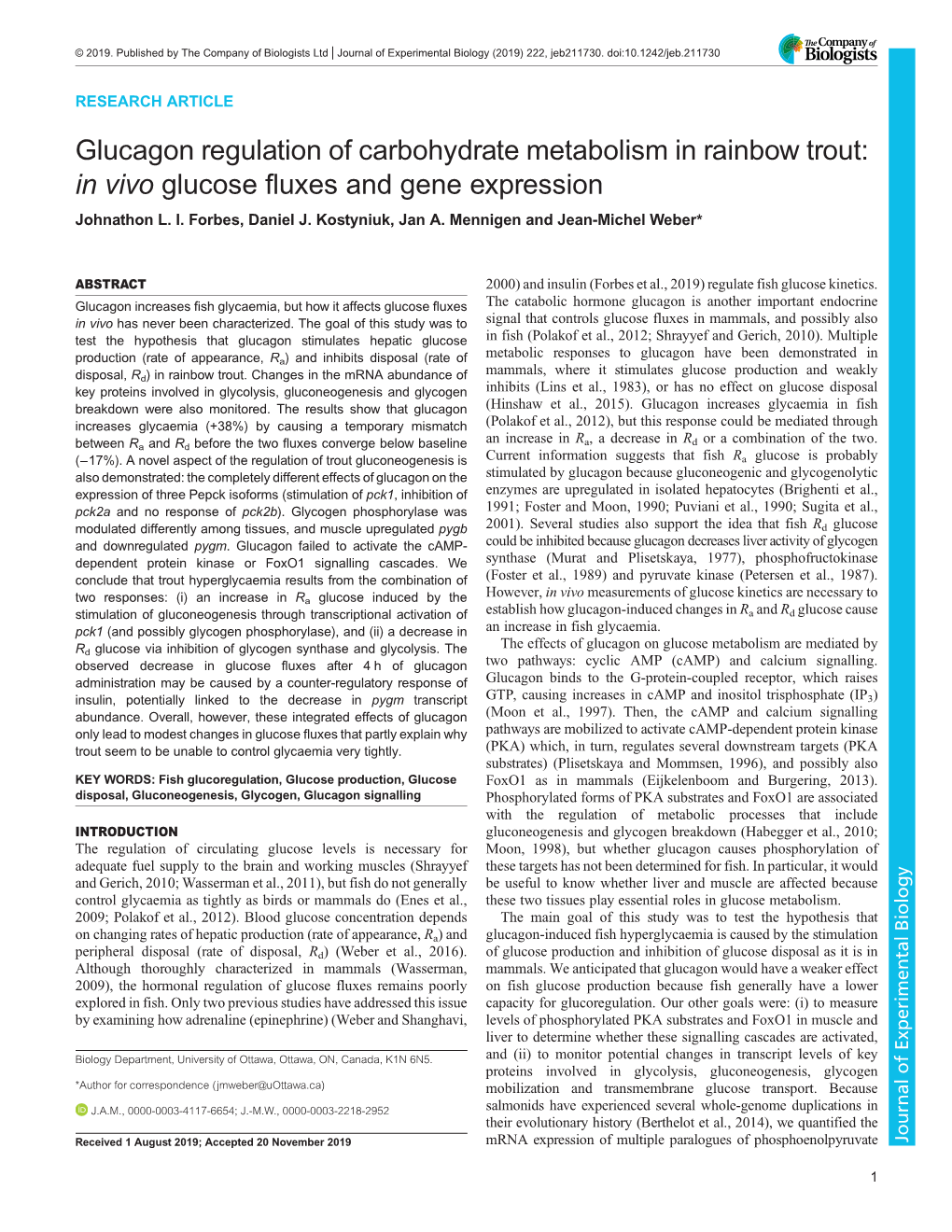 Glucagon Regulation of Carbohydrate Metabolism in Rainbow Trout: &lt;Italic