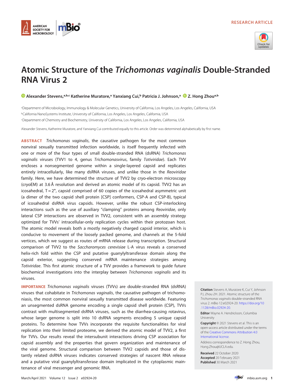 Atomic Structure of the Trichomonas Vaginalis Double-Stranded RNA Virus 2