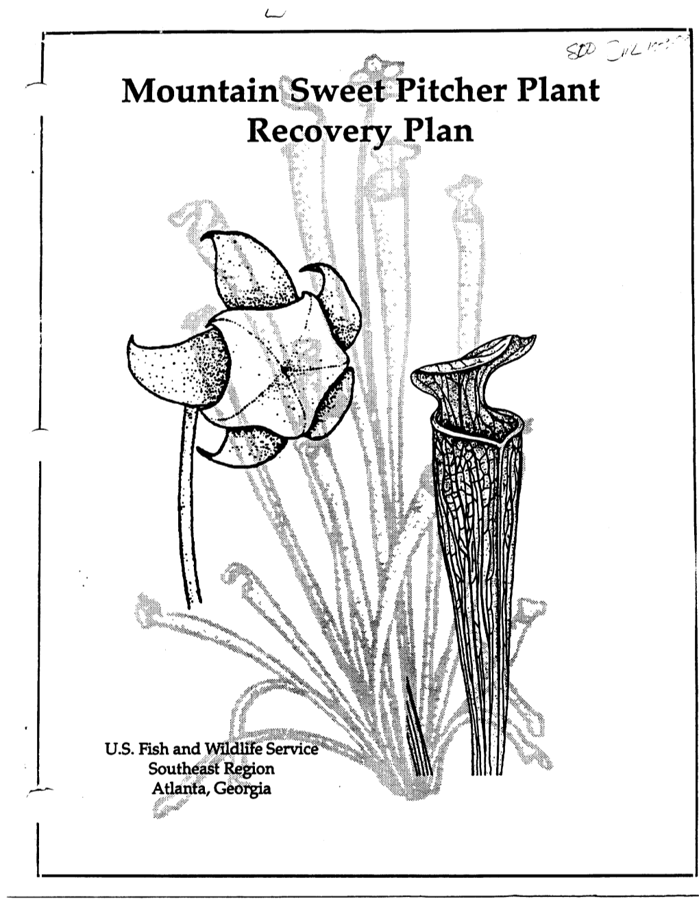 Weet Pitcher Plant Erv Plan RECOVERY PLAN