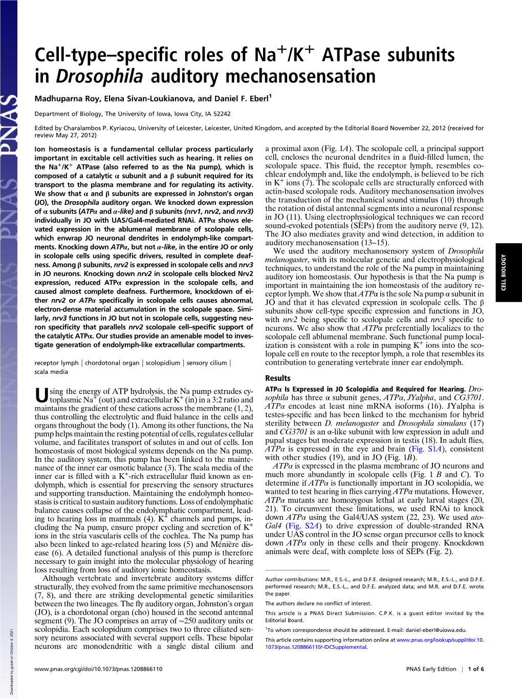 Cell-Type–Specific Roles of Na /K Atpase Subunits in Drosophila Auditory Mechanosensation