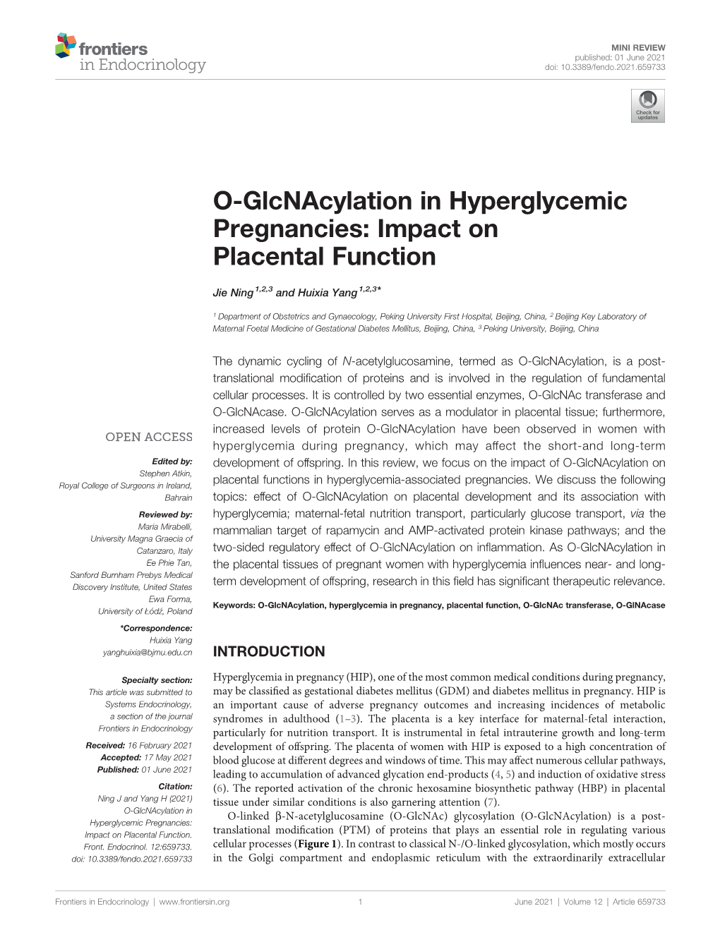 O-Glcnacylation in Hyperglycemic Pregnancies: Impact on Placental Function