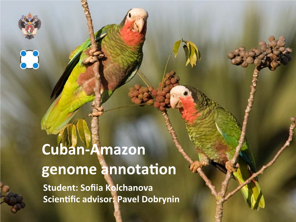 Cuban-‐Amazon Genome Annotabon