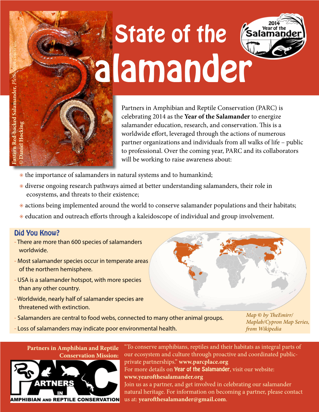 State of the Salamander Document