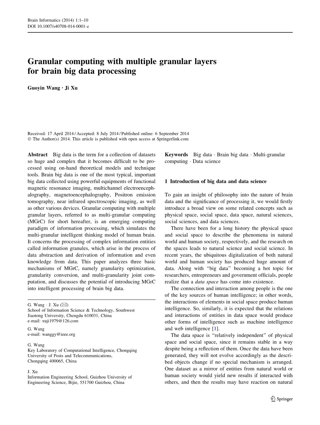 Granular Computing with Multiple Granular Layers for Brain Big Data Processing