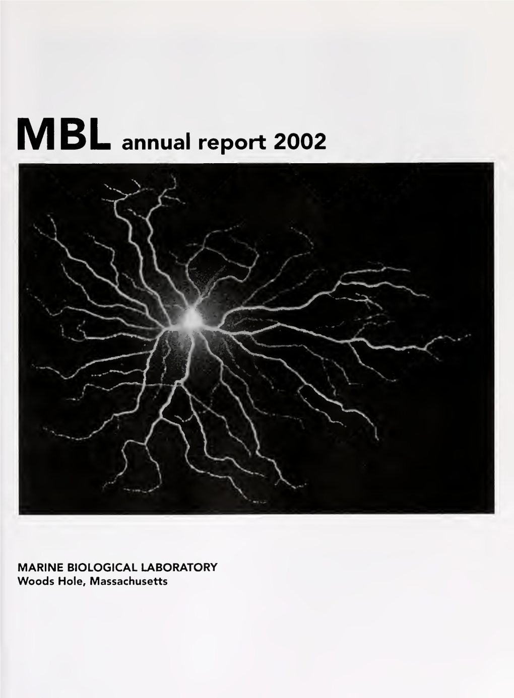 MBL Annualreport 2002