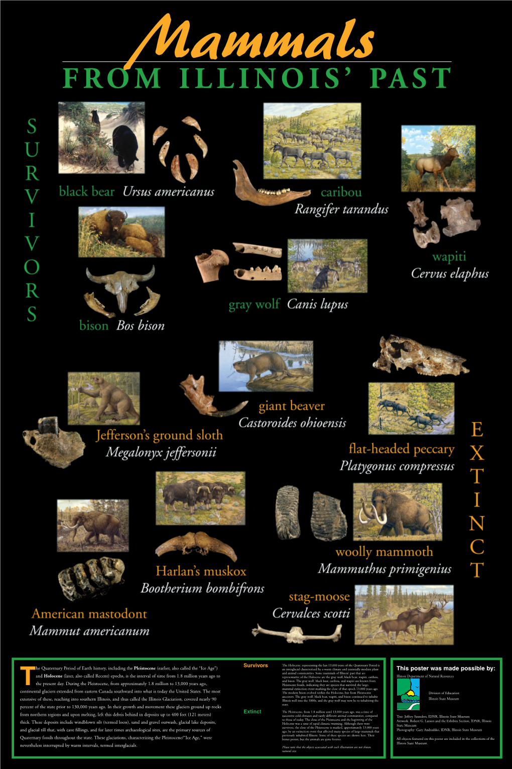 Mammals FROMILLINOIS’PAST