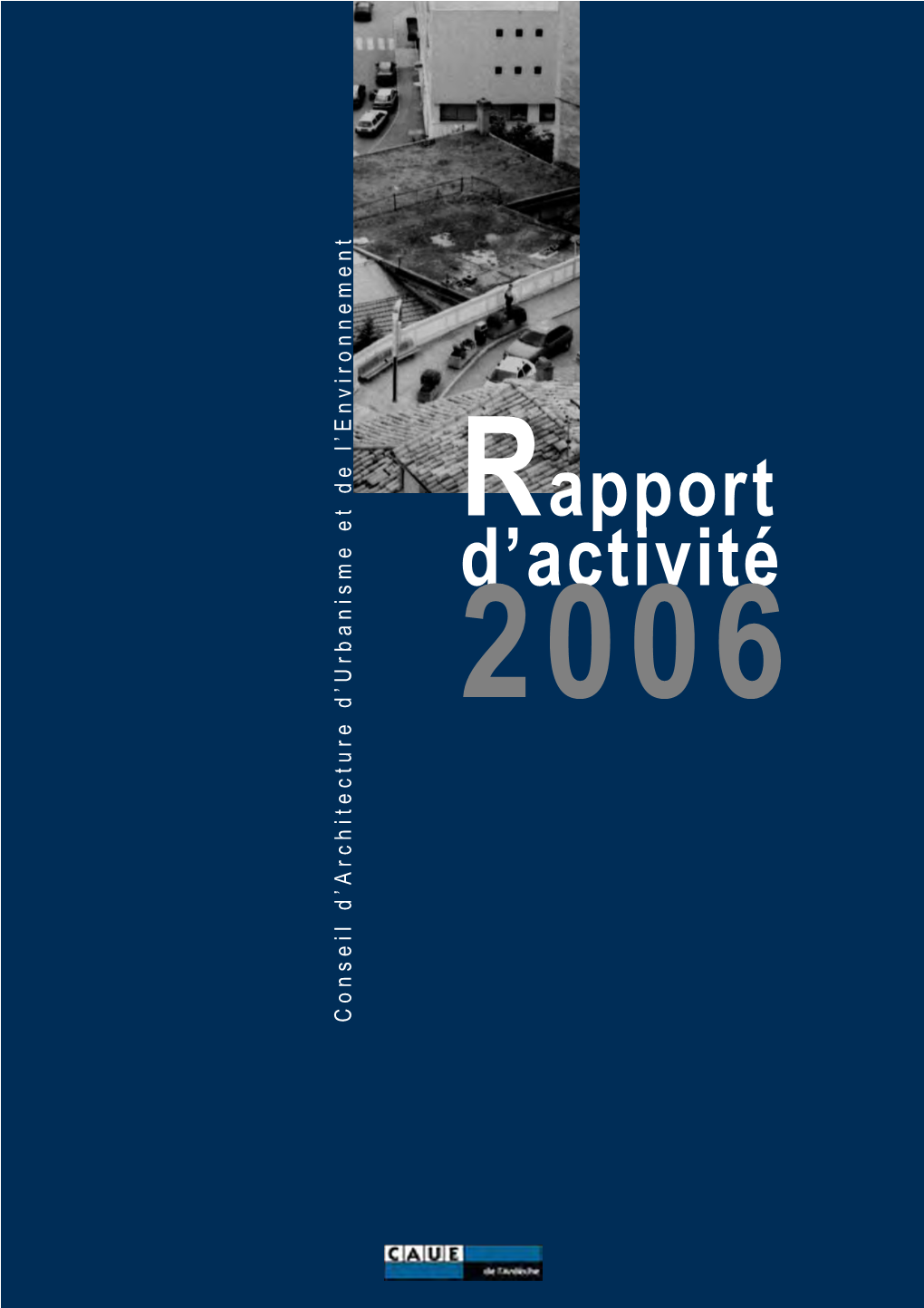 Rapport D'activité