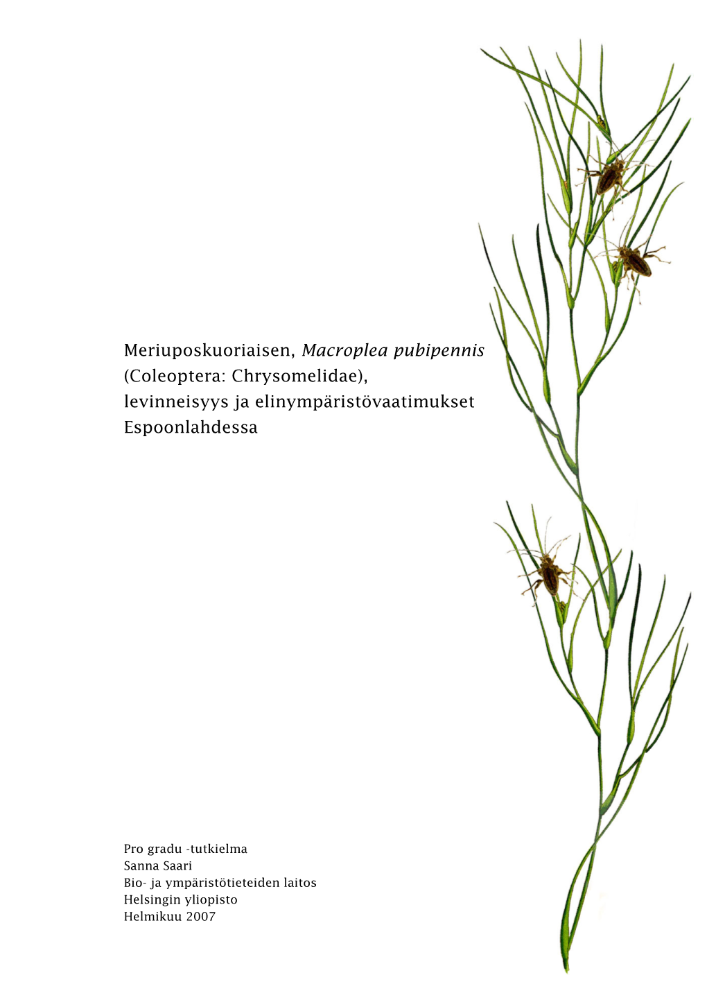 Meriuposkuoriaisen, Macroplea Pubipennis (Coleoptera: Chrysomelidae), Levinneisyys Ja Elinympäristövaatimukset Espoonlahdessa