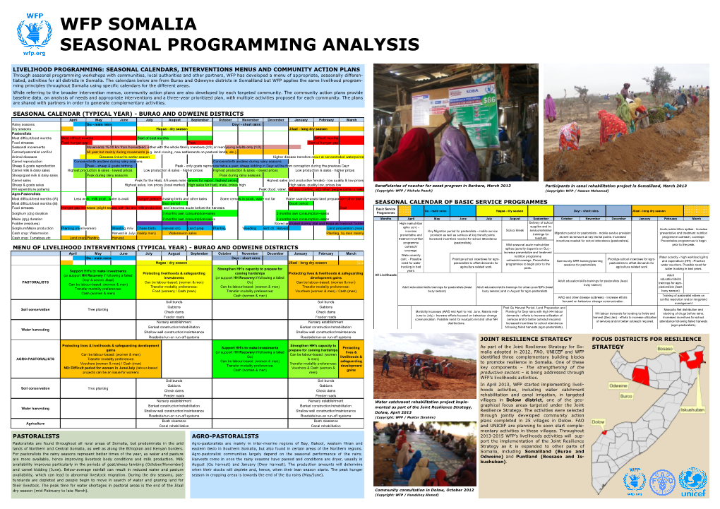 Wfp Somalia Seasonal Programming Analysis