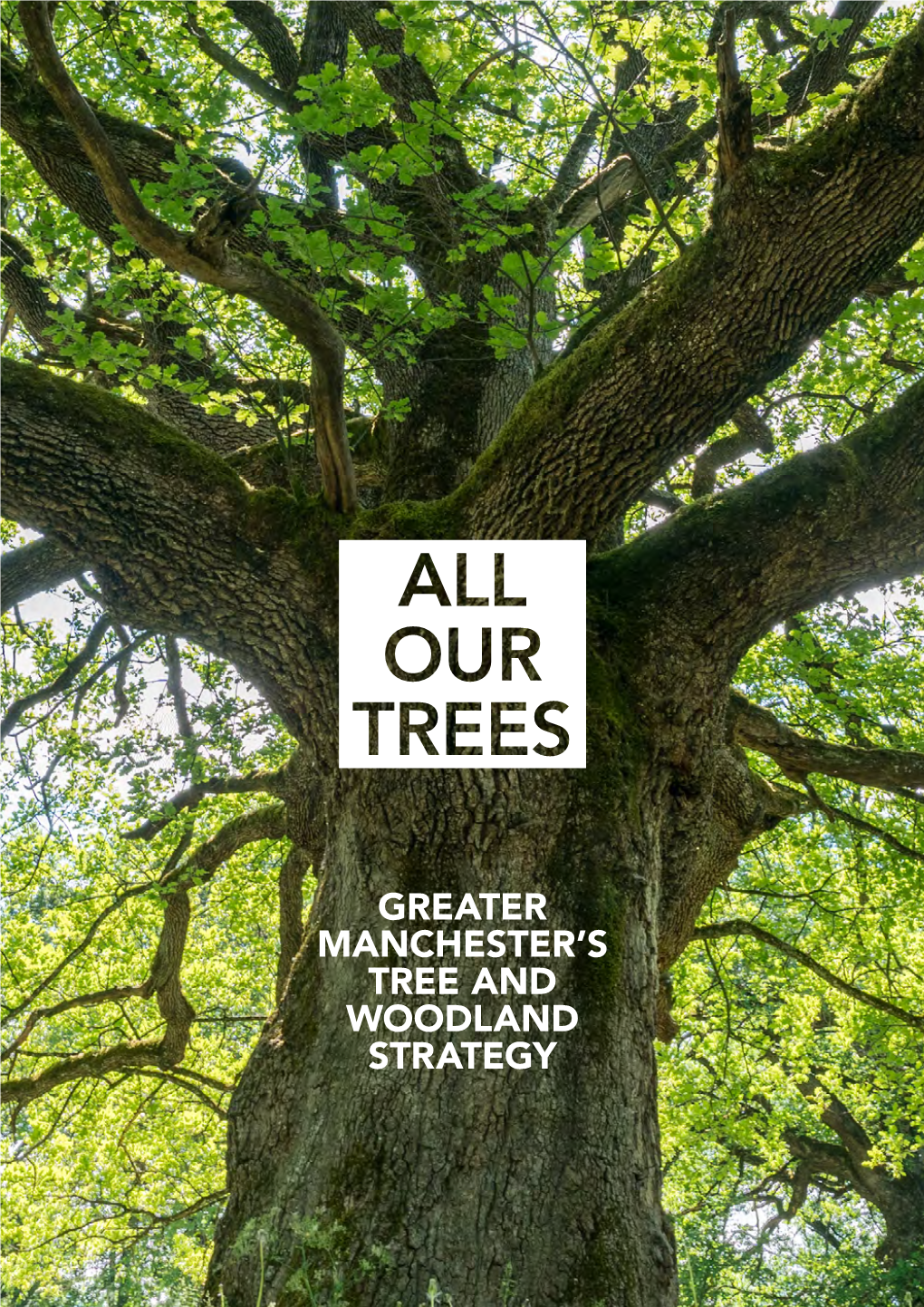 All Our Trees – Greater Manchester's Tree and Woodland Strategy