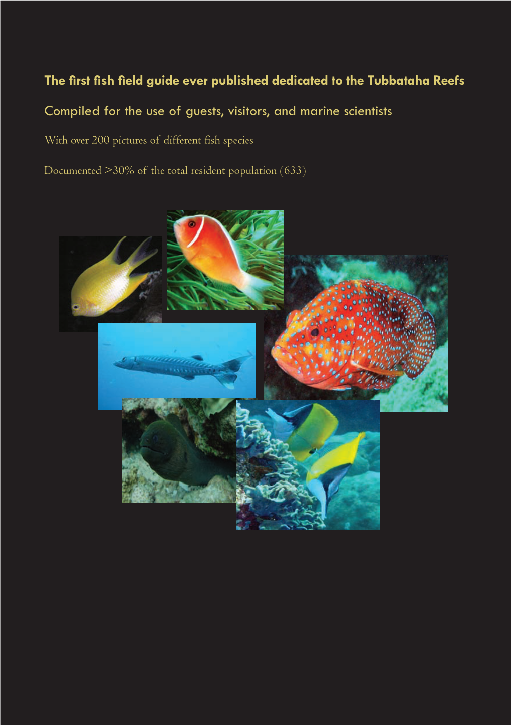 The First Fish Field Guide Ever Published Dedicated to the Tubbataha Reefs