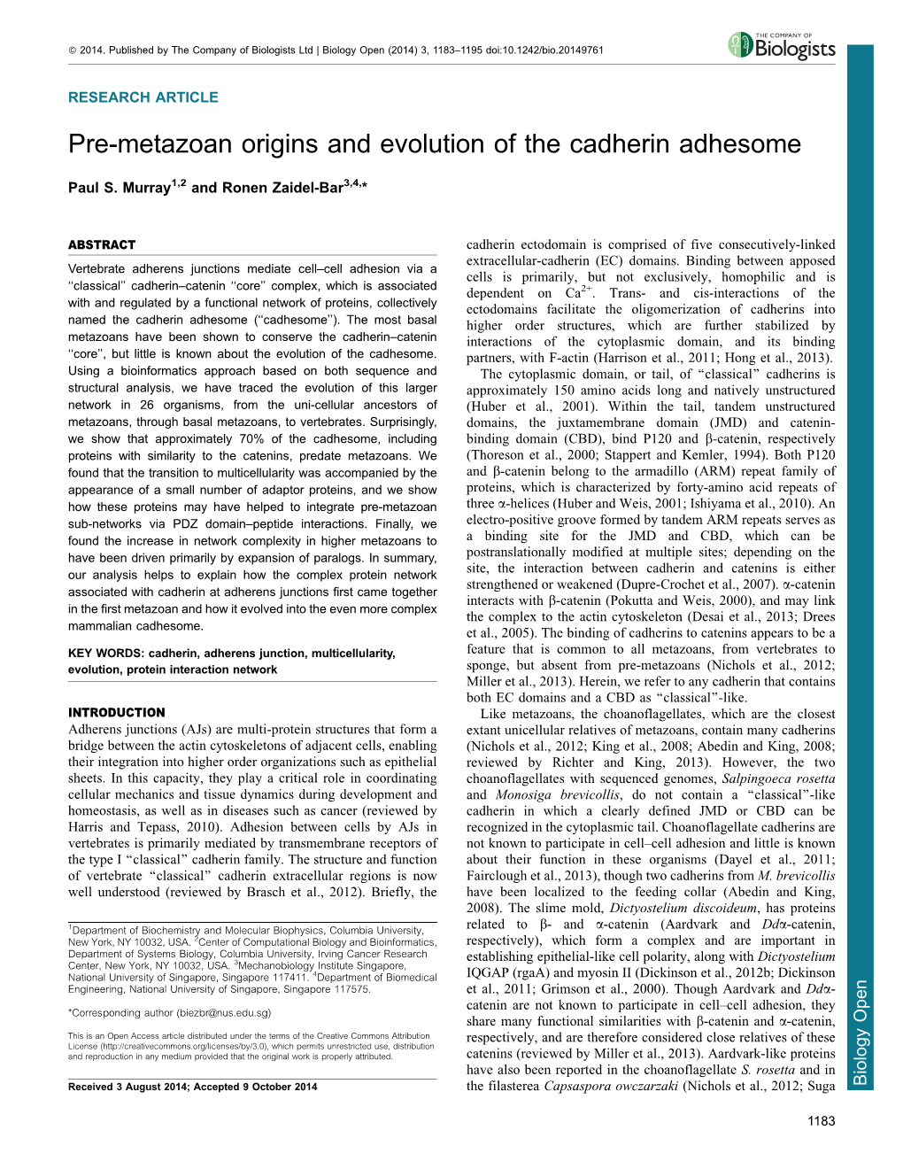 Pre-Metazoan Origins and Evolution of the Cadherin Adhesome